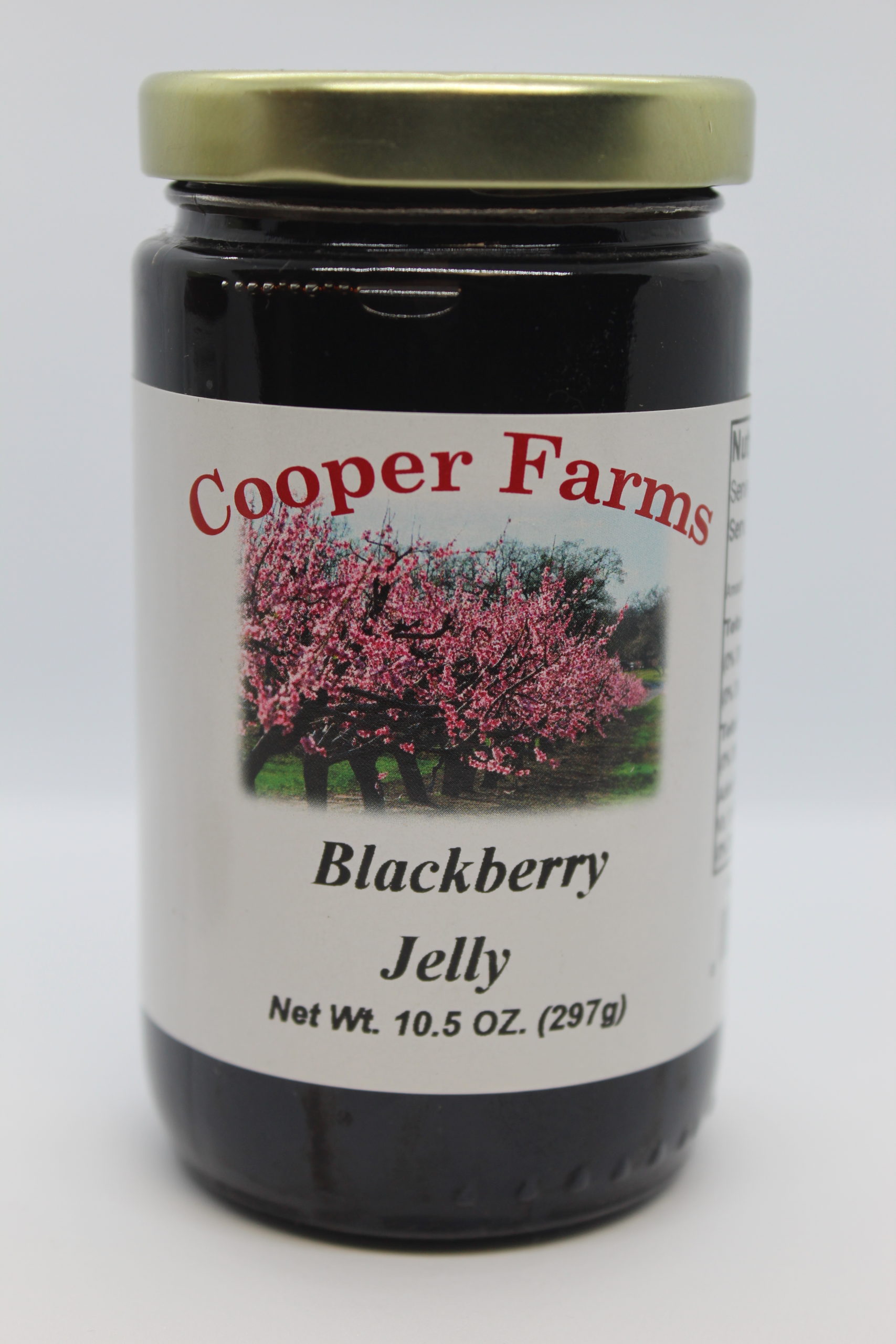 Blackberry Jelly – 10.5 oz – Cooper Farms