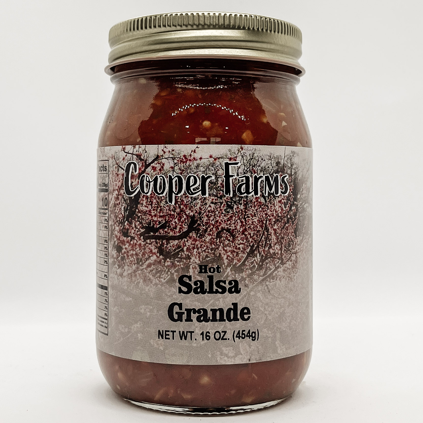 Spicy Salsa - 16 oz jar